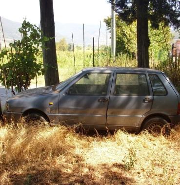 Auto abbandonata 