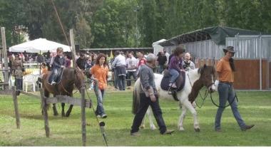 Cavalli e pony: un altro successo dell Agrifiera 