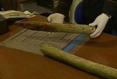Il palo di legno, spezzato in due, con cui sono stati colpiti i carabinieri 