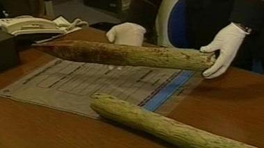 Il palo di legno, spezzato in due, con cui sono stati colpiti i carabinieri