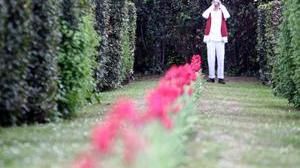 Un solco rosso di 600 tulipani