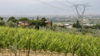 I piloni dell’elettricità di Terna