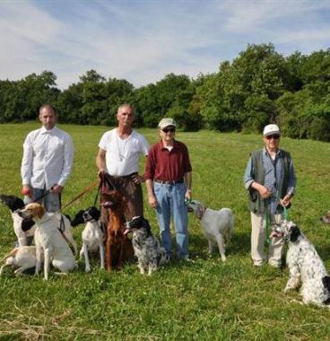 Pointer con i loro conduttori in una foto darchivio 