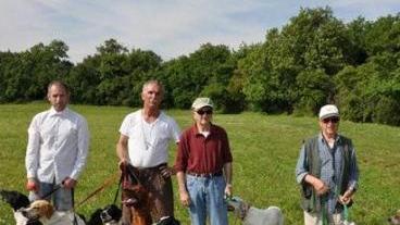 Pointer con i loro conduttori in una foto d’archivio