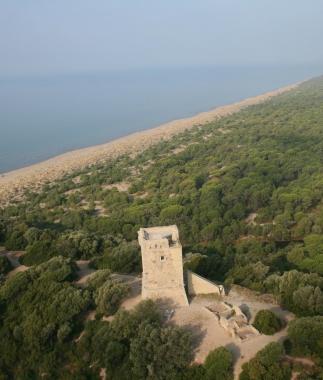 <b>PARCO. </b>Giampiero Sammuri    
