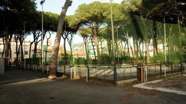 <b>LA PISTA </b>dei Pini