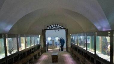 Interno del museo della Certosa