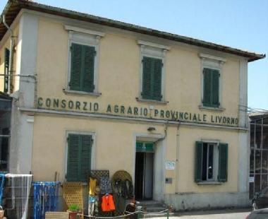 Il consorzio agrario di Venturina