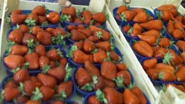 Cestini di fragole in mostra