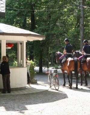 Polizia a cavallo ieri in pineta 