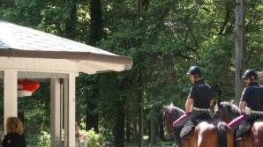 Polizia a cavallo ieri in pineta