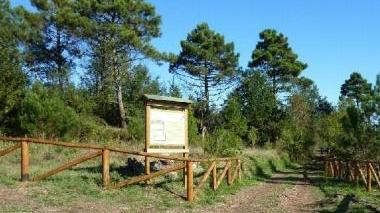A passeggio lungo i sentieri delle Cerbaie