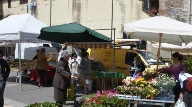 <b>PIAZZA DEL SALE.</b> Con il mercatino di prodotti agricoli