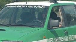 Manifesti elettorali buttati nel bosco, ditta multata