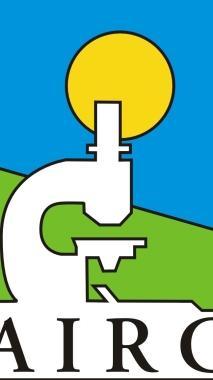 <b>IL LOGO </b>dellAirc 