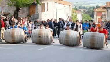 La partenza del palio dello scorso anno 
