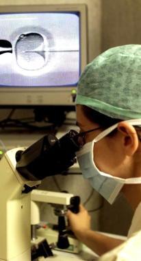Una specialista al lavoro in un tentativo di inseminazione artificiale in laboratorio 