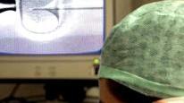 Una specialista al lavoro in un tentativo di inseminazione artificiale in laboratorio