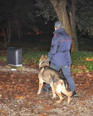 <strong>PIÙ CONTROLLI.</strong> Un poliziotto durante una battuta antidroga in Pineta