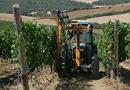 Un'idea per il futuro? A scuola per diventare imprenditori agricoli