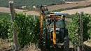 Un'idea per il futuro? A scuola per diventare imprenditori agricoli
