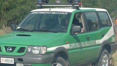 Un mezzo della Forestale