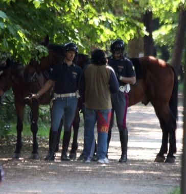 <b>PINETA AL SETACCIO.</b> Due poliziotti a cavallo durante un controllo antidroga 