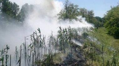 Le fiamme ai canneti lungo l’Elsa e accanto i vigili del fuoco