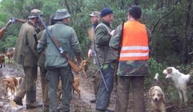 Caccia allo storno per difendere l'agricoltura