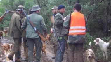 Caccia allo storno per difendere l'agricoltura