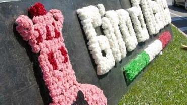 Una composizione floreale