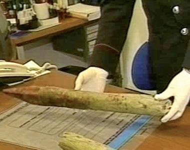 Tutti contro i rave party «Multe salate e carcere per gli organizzatori»