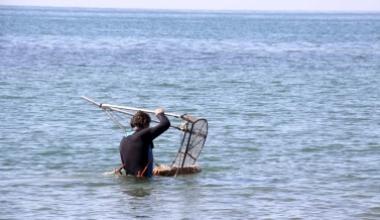 Controlli ok, revocato il divieto di pesca delle arselle