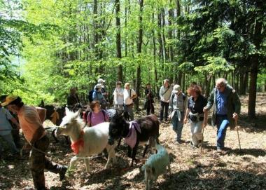 Un momento del trekking 