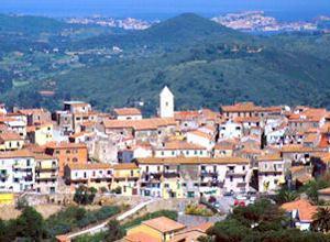 Un gabbiano degli abissi al Remaiolo