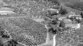 Una panoramica delle colline di Capannori (Vip)