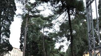 Il parco dove dovrebbe sorgere il posteggio