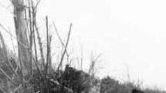 <strong>RESISTENZA.</strong> Una formazione partigiana sulle Alpi Apuane