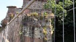 Bastione in cerca di adozione