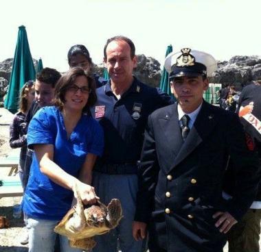 <b>LIBERAZIONE </b>La tartaruga Farfallina viene restituita al mare a Talamone  