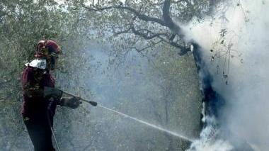 Un incendio boschivo