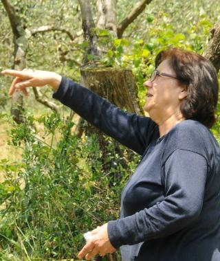 Annamaria Fazio e Pietro Luigi Cola, che abitano nella zona colpita dallincendio, e unimmagine delle operazioni spegnimento delle fiamme (Vip)  