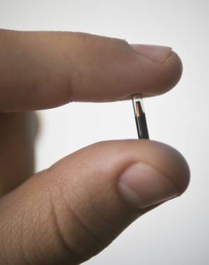 Un microchip per cani 