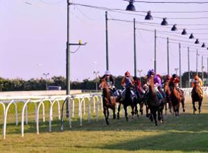 I pisani vogliono l'ippodromo