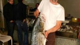 Pescata una leccia di quindici chili
