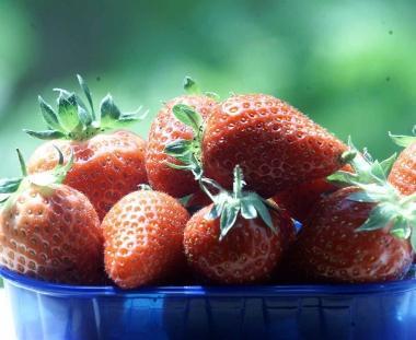 Sagra della fragola