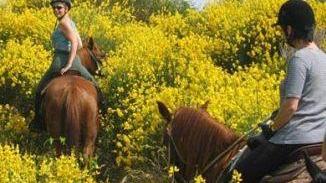 <b>SENTIERO NATURA </b>oggi la passeggiata a cavallo
