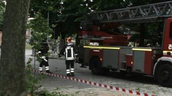 Albero cade sulla strada Danneggiate tre auto
