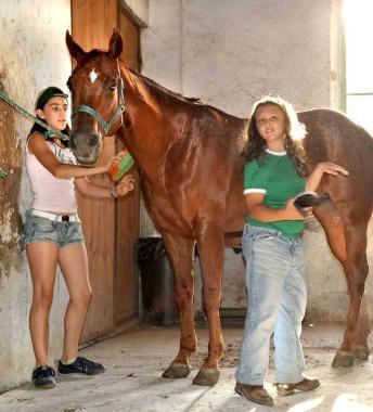 Pulizie a un cavallo della Giostra 