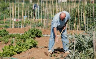 Un pensionato si prende cura del suo orto      